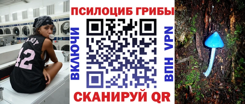 Галлюциногенные грибы Psilocybine cubensis Павловск